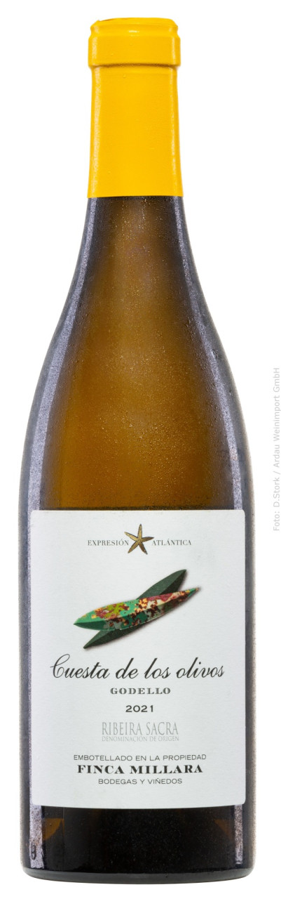 Finca Míllara Cuesta de los olivos Godello