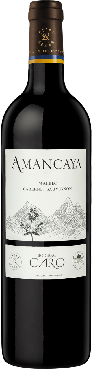 Bodegas Caro Amancaya