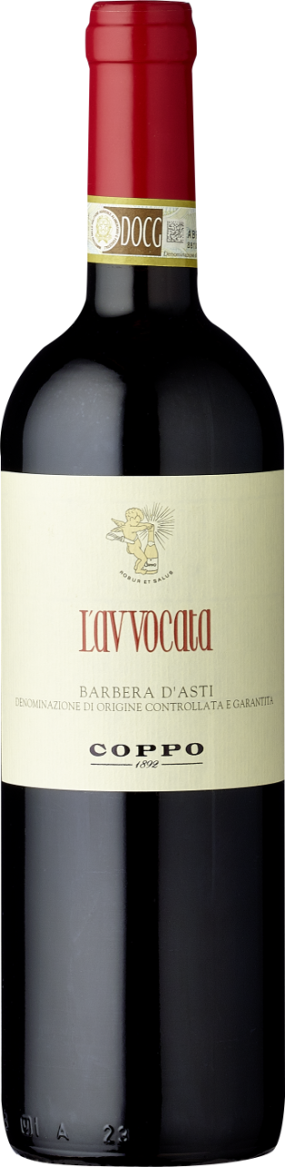 Coppo Barbera D'Asti L'Avvocata